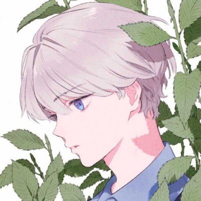 小猫被小龙虾一击必杀